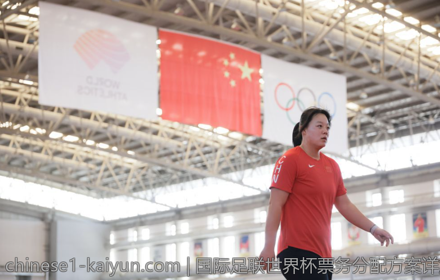 国际足联世界杯票务分配方案详解