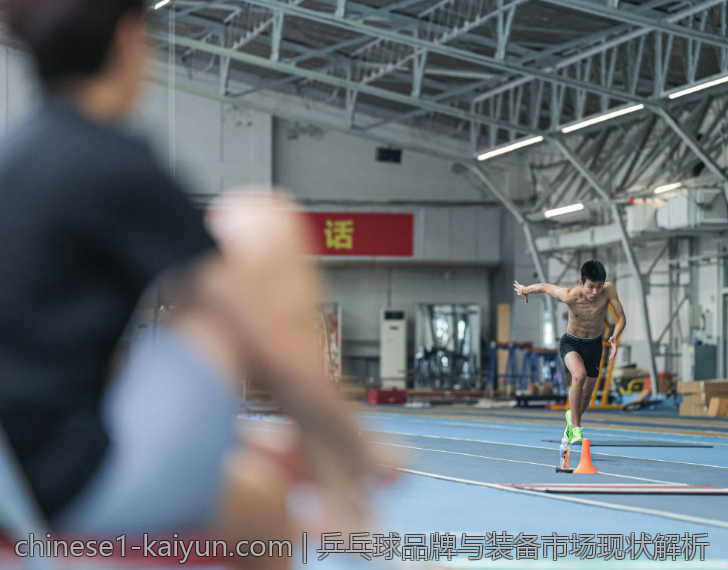 乒乓球拍选择与维护实用攻略