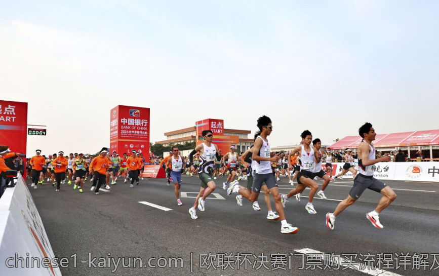 欧联杯决赛门票购买流程详解及官方途径