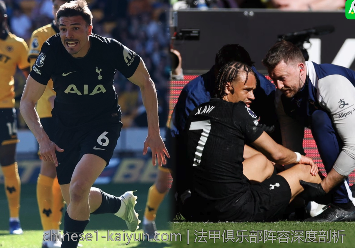 法甲俱乐部阵容深度剖析